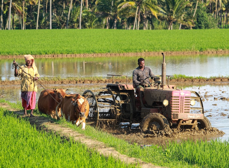 Scaling Climate-Smart Rice Production