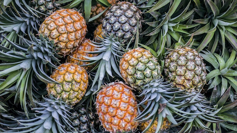 Organic Pineapples (per piece)